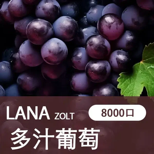 【多汁葡萄】LANA ZOLT 一次性電子煙推薦 8000大容量 可充電