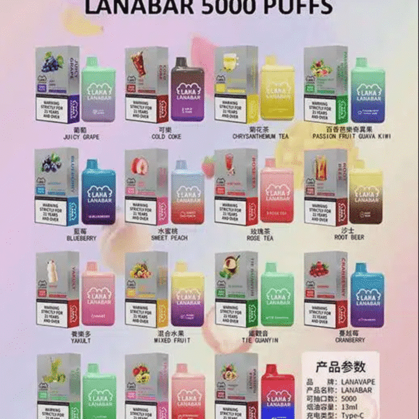 LANA拋棄式5000口電子煙/一次性電子煙/可充電/台灣現貨 24h出貨