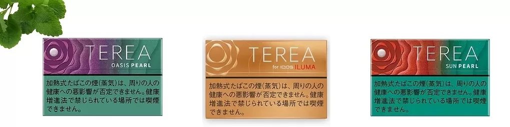 日本加熱菸