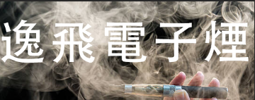 逸飛電子