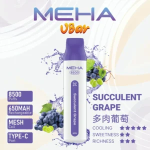 MEHAVBar魅嗨8500口 葡萄